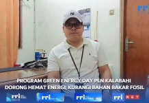 Green Energy Day, PLN Kalabahi Kurangi Ketergantungan pada BBM