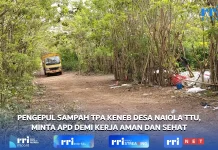 Pengepul Sampah di Keneb Minta Pemkab TTU Membantu APD Demi Keselamatan Kerja
