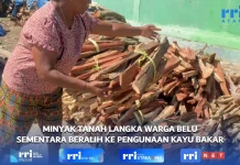 Minyak Tanah Langka, Alternatif Warga Belu Beralih ke Penggunaan Kayu Bakar