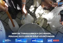 Minyak Tanah Langka dan Gas Mahal, Penjual Kayu Bakar Raup Keuntungan