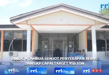 Bulog Kancab Atambua Gencarkan Serap GKP dan Beras Petani, Jaga Ketahanan Pangan