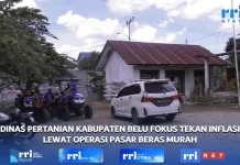 Dinas Pertanian Belu Fokus Tekan Inflasi lewat Operasi Pasar Beras Murah