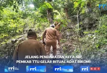 Pemkab TTU-Tua Adat Bikomi Lakukan Ritual adat Sambut Pesawat Kefa Air