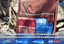 Penenun di Desa Duarato Raih Penghasilan Jutaan Rupiah Per Bulan Dari Kain Tenun
