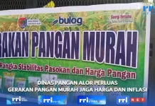 Dinas Pangan Alor Perluas Gerakan Pangan Murah untuk Jaga Stabilitas Harga Pangan