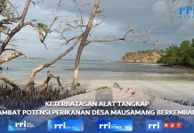 Potensi Perikanan Mausamang Belum Optimal akibat Keterbatasan Sarana Nelayan