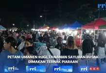 Bupati Belu Ajak Pengusaha Manfaatkan Peluang Timor-Leste Tembus Pasar Dunia