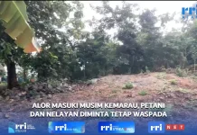 BMKG: Alor Masuki Musim Kemarau, Masyarakat Diminta Tetap Waspada Cuaca
