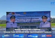 Akselarasi Swasembada Pangan, Wabup Belu Pimpin Tanam Padi di Haekrit