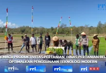 Memacu Produktivas Pertanian, Distan Belu Optimal Penggunaan Teknologi Modern