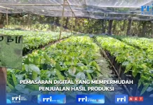 Anak Muda Diajak Melihat Pertanian Sebagai Peluang Usaha Masa Depan