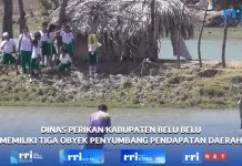 Dinas Perikan Kabupaten Belu Memiliki Tiga Obyek Penyumbang Pendapatan Daerah