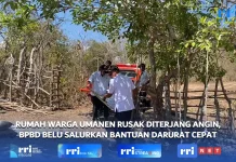 Rumah Warga Umanen Rusak Diterjang Angin, BPBD Belu Reaksi Cepat Salurkan Bantuan