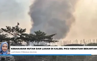 Karhutla Kalsel Picu Kematian Bekantan