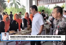 Komisi XI DPR RI Dorong Hilirisasi Industri di Kalimantan Selatan
