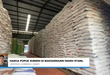 DKP3 Banjarmasin Pastikan Stok dan Harga Pupuk Subsidi Stabil