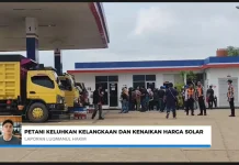 Solar Langka, Biaya Operasional Pertanian Ikut Naik