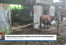 RPH Banjarmasin Siapkan Layanan Pemotongan Hewan Kurban Iduladha 1447 H