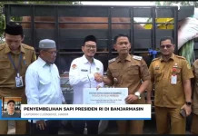 Sapi Kurban Bantuan Presiden untuk Banjarmasin Dipotong di RPH Basirih
