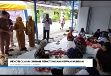 Pemkot Banjarmasin Soroti Pengelolaan Limbah Kurban saat Iduladha