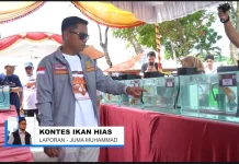 Wali Kota Cup 2026 Jadi Ajang Promosi Industri Ikan Hias Banjarmasin