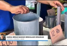 Harga Beras Banjar Naik, Kelangkaan Benih Jadi Pemicu