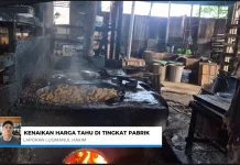 Gejolak Global Picu Kenaikan Harga Tahu di Banjarmasin