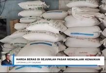 Harga Beras di Banjarmasin Terus Naik, Daya Beli Warga Menurun