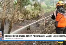 Komisi II DPRD Kalsel Soroti Maraknya Pembalakan Liar saat Musim Kemarau