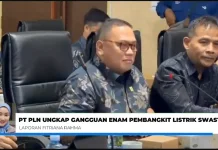 PLN Ungkap Enam Pembangkit Penyebab Gangguan Listrik di Kalimantan Selatan