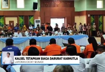 Kalsel Tetapkan Status Siaga Darurat Karhutla
