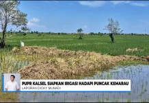 PUPR Kalsel Perkuat Antisipasi Hadapi Puncak Musim Kemarau