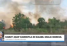 Titik Panas di Kalsel Menurun, Kewaspadaan Karhutla Tetap Ditingkatkan