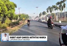 Kabut Asap Kembali Selimuti Banjarbaru, Warga Terganggu