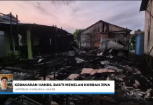 Kebakaran di Handil Bakti Tewaskan Seorang Penghuni Rumah