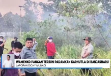 Karhutla Liang Anggang, Wamenko Pangan Turun Memadamkan Api