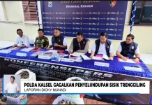 Polda Kalsel Gagalkan Penyelundupan 64 Kg Sisik Trenggiling