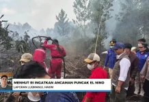 Menhut Ingatkan Ancaman Karhutla saat Puncak Kemarau