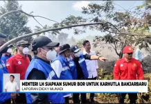 Karhutla Banjarbaru, Menteri Lingkungan Hidup Siapkan Sumur Bor