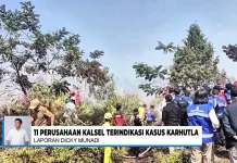 Karhutla Kalsel, 11 Perusahaan Terindikasi Terkait Perkara