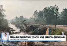 Karhutla Banjarbaru, Tiga Kawasan Jadi Prioritas Penanganan