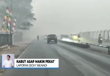 Kabut Asap Kembali Pekat, Aktivitas Warga Banjarbaru Terganggu