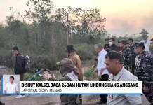 Liang Anggang Dijaga 24 Jam, Dishut Kalsel Perketat Penanganan Karhutla