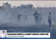 Polda Kalsel Uji Cairan MES untuk Padamkan Bara Gambut Karhutla