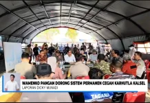 Wamenko Pangan Dorong Sistem Permanen Tangani Karhutla Kalsel