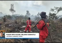 Kasus ISPA Melonjak di Kalsel, Dinkes Perkuat Layanan Kesehatan