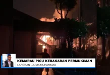 Kemarau Panjang, Potensi Kebakaran Lahan Banjarmasin Meningkat
