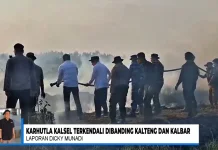 Karhutla Kalsel Relatif Terkendali, BNPB Perkuat Penanganan