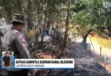 Satgas Karhutla Siapkan Restorasi Hidrologi di Pengayuan Banjarbaru