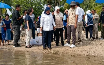 Lestarikan Pesisir, Ratusan Tukik Hijau Dilepasliarkan di Pantai Carita